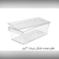 نظم دهنده کوچک